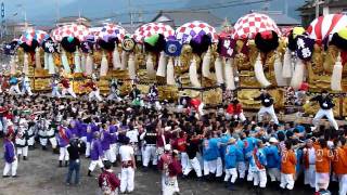 2009.10.17 西条祭り飯積神社祭礼（神社前河川敷）6