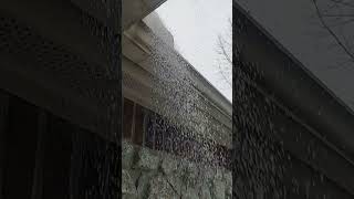 Weird ice pellets snow in our yard.