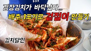 겉절이 만들기/ 김장김치가 똑 떨어져서 배추 1포기로 겉절이 만들었어요.