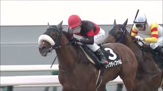 太秦ステークス　ダ1800m (右) 　ヴィクティファルス　セ5　58.0　池添謙一　2023.10.14　　出走馬：タイセイドレフォン、キタノリューオー、マリオロード、メイクアリープ他