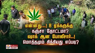 என்னது...! 8 ஏக்கருக்கு கஞ்சா தோட்டமா?..ஷாக் ஆன போலீசார்..மொத்தமும் சிக்கியது எப்படி?