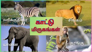 காட்டில் வாழும் மிருகங்கள் | Learn Wild Animals Names in Tamil | Kattu Mirugankal | Kidz Doo