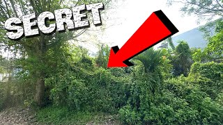 The Abandoned House was Completely Swallowed Up | CLEANING UP HUGE VEGETATION , CRAZY TRANSFORMATION