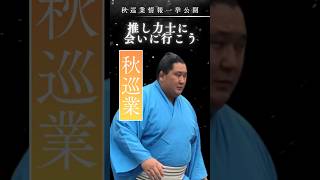 この秋は推し力士に会いに行っちゃおう！令和6年大相撲秋巡業情報一挙公開（後半）＃大相撲　＃力士　＃SUMO　＃狼雅