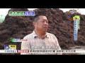 來去農場長知識 彰化竹塘洋菇故鄉│中視新聞專題20160729