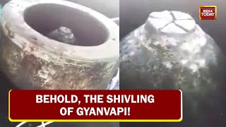 India Today Accesses Gyanvapi Shivling Video, Structure Found Inside Masjid Reservoir, Claim Hindus