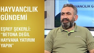 Hayvancılık Gündemi | \