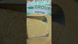 Unpolished \u0026 Organic Foxtail Millet Whole Grain Premium A++ Grade Double Sortexed.....