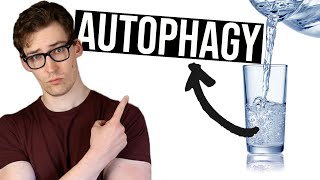 How does Fasting create Autophagy?