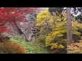 日本 山寺 楓葉 飄雪