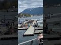 harbour air seaplanes shorts vancouver