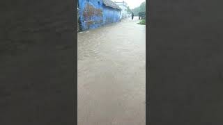 Heavy Rain In Tirunelveli|எங்க ஊருல சரியான மழை மக்களே|தண்ணீர் பெருக்கெடுத்து ஓடுது