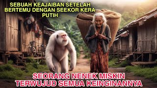 Seorang Nenek Miskin Terwujud Semua Impianya Setelah Bertemu Dengan Seekor Kera Putih