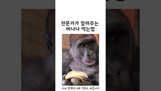 바나나 1초만에 먹는법 알려준다