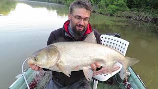 Spin Fishing with Gábor Szalai - Vlog 44: Another Giant on the Dragon ProGuide-X 1-10 gram Rod