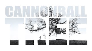 Cannonball - Tree (OFFICIAL LYRIC VIDEO)