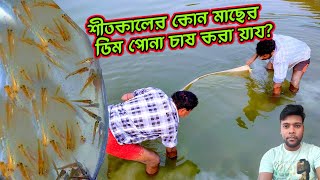 শীতকালে কোন মাছের রেনুপনা বা ডিমপনা চাষ করা যায়? Which fish spawn can be farmed in winter #fish