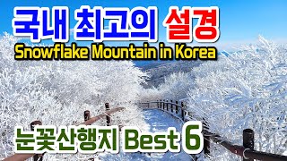 외국보다 더 아름다운 한국 최고의 설경, 눈꽃산행지 베스트6. 덕유산 눈꽃산행, 태백산 눈꽃산행, 선자령 눈꽃산행, 발왕산 눈꽃, 계방산 눈꽃산행, , 대둔산 눈꽃산행