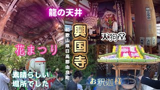 【興国寺】白いゾウとお釈迦様🌸花まつり🌸和歌山県日高郡由良町　和歌山のパワースポット💪