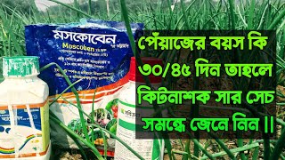 পেঁয়াজের সঠিক সার কীটনাশক ||৩০-৪৫ দিন বয়সে||পেঁয়াজ চাষ