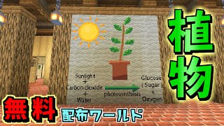 無料配布マップ(日本語訳付き)『植物/The Plant』【マイクラマーケットプレイス】