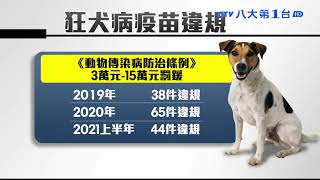 1年6萬人 死於狂犬病 八大民生新聞 2021080606