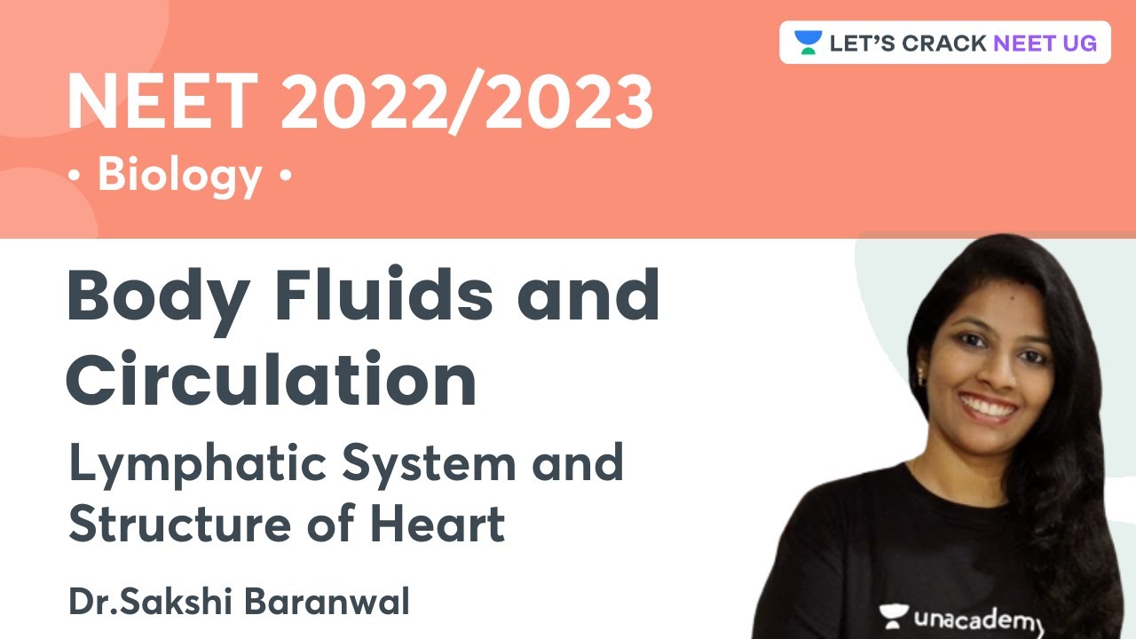 Body Fluids and Circulation | Lymphatic System and Structure of Heart | Sakshi Baranwal