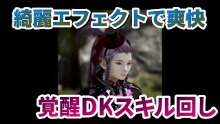 20211022覚醒DKスキル回しBlack Desert Awakening Dark Knight Skill rote in Japan