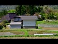 新緑の小川村から残雪の北アルプスを眺める・4k