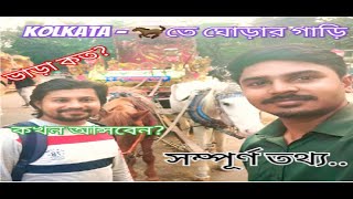 Horse Ride Victoria Memorial, Kolkata | কলকাতার ঐতিহ্যবাহি ঘোড়াগাড়ি  |  Kolkata Horse Ride