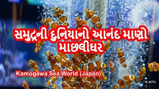 કામોગાવા સી વર્લ્ડ (ચીબામાં): વૈવિધ્યસભર દરિયાઈ જીવન પ્રદર્શન અને અરસપરસ અનુભવો