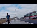 鶴見川（鷹野大橋→亀の甲橋：右岸）