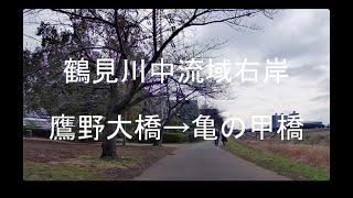 鶴見川（鷹野大橋→亀の甲橋：右岸）