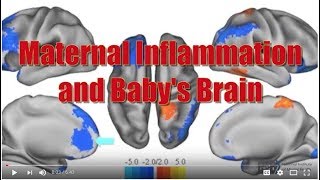 Maternal Inflammation and Baby's Brain - Claudia Buss, Ph.D.