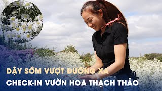 Du khách dậy sớm vượt đường xa check-in vườn hoa thạch thảo độc nhất tại Đắk Lắk