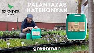 GREENMAN x Szender Kert - Így lesznek gyönyörűek a palántáid Greenman Agro használatával