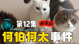 【改編】河馬個仔河童撞親個頭警員消防都到場！何伯何太公屋直播兒子笑不停口撞親 市民報警懷疑何太虐待兒童！米經理又化身消防破門而入🤣三隻貓傾力出演！新年版「祝我的冬瓜豬們新年快樂 身體健康 心想事成！」