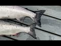 Intro to Commercial Fishing in Alaska