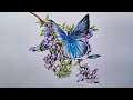 Drawing with Faber Castell Triangular Colour pencils | Butterfly drawing | Realistic drawing