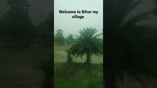 Welcome to Bihar my village in Darbhanga in poram