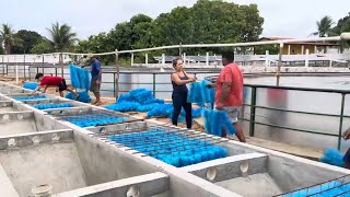 FINALIZANDO OS TANQUES DE MACAÍBA, SERÁ QUE SINVAL GOSTOU.