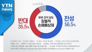 [더뉴스-더여론] '최대 5배 손해배상' 언론중재법...찬성 56 vs 반대 35 / YTN