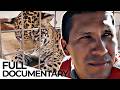 The Illegal Jaguar Trade Network | Tigre Gente | ENDEVR Documentary