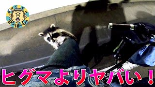 【ガチの猛獣襲来】北海道チャリで一周するまで帰れま10 2日目 札幌～留萌140km【ラスカル】