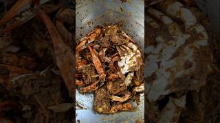 Spicy Crab Fry Recipe | Crab Fry | Crab Pepper Fry recipe | Nandu Varuval #crab #crabrecipes