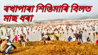 ৰখাপাৰা শিঙিমাৰী বিলত মাছ ধৰা Goalpara Assam India