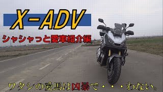 ワタシの愛馬はX-ADVです。(愛車紹介)　X-ADVモトブログ