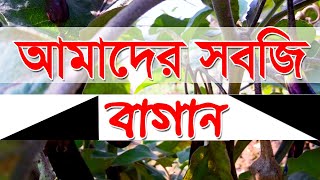 আল্লাহর দানে সবজি বাগান | ইসলামিক গজল | সবজির নাম সহ সুন্দর নাশিদ | Usman Media