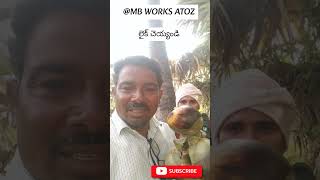 #తాటి కళ్ళు ముంజలు ఆరోగ్యానికి చాలా మంచిది #home #palam #nactural