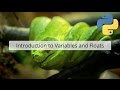 Python Variables and Floats - an introduction